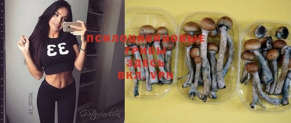 гидропоника Бронницы