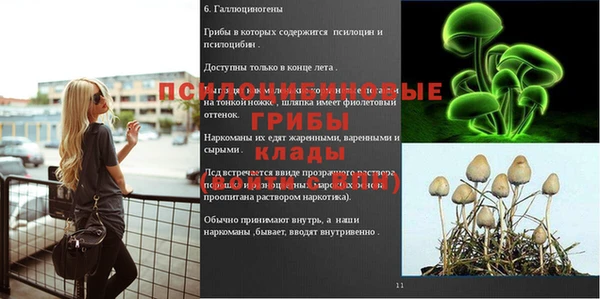 ГАЛЛЮЦИНОГЕННЫЕ ГРИБЫ Сафоново