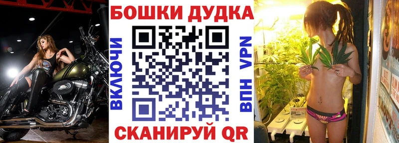 наркота  Киржач  Бошки марихуана семена 